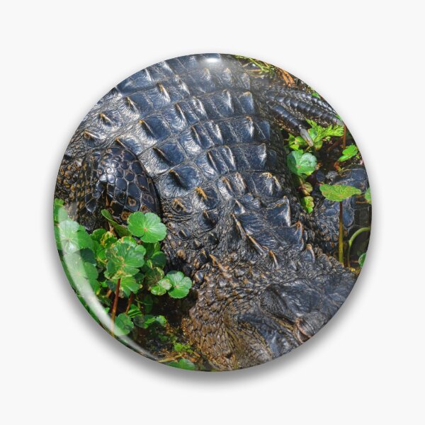 Item preview, Allegator And Lily Pads Vertical designed and sold by LisaWootenPhoto.