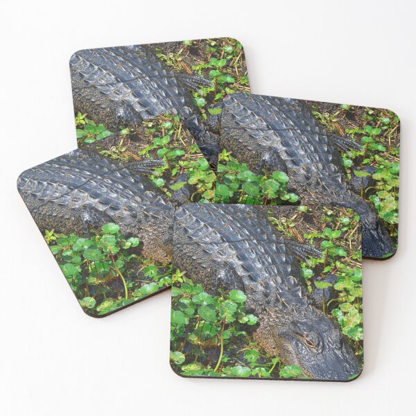 Item preview, Allegator And Lily Pads Vertical designed and sold by LisaWootenPhoto.
