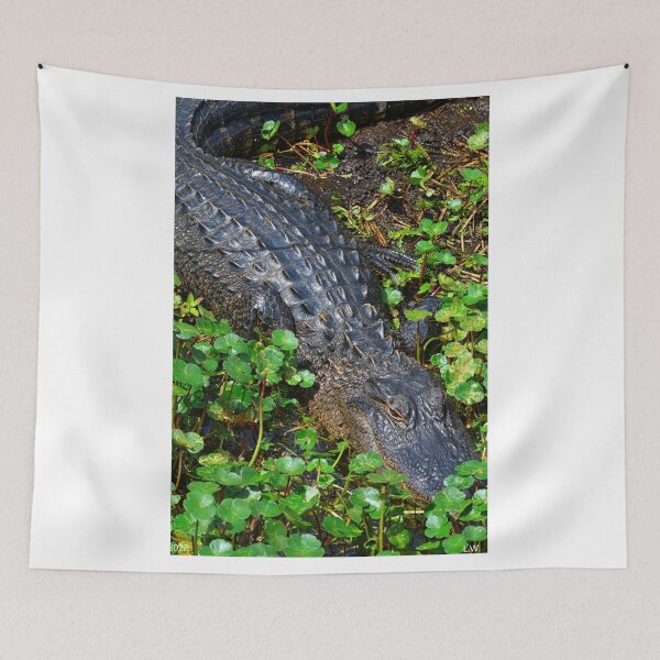 Item preview, Allegator And Lily Pads Vertical designed and sold by LisaWootenPhoto.