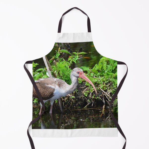Item preview, Juvenile American White Ibis designed and sold by LisaWootenPhoto.