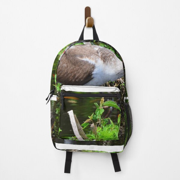 Item preview, Juvenile American White Ibis designed and sold by LisaWootenPhoto.