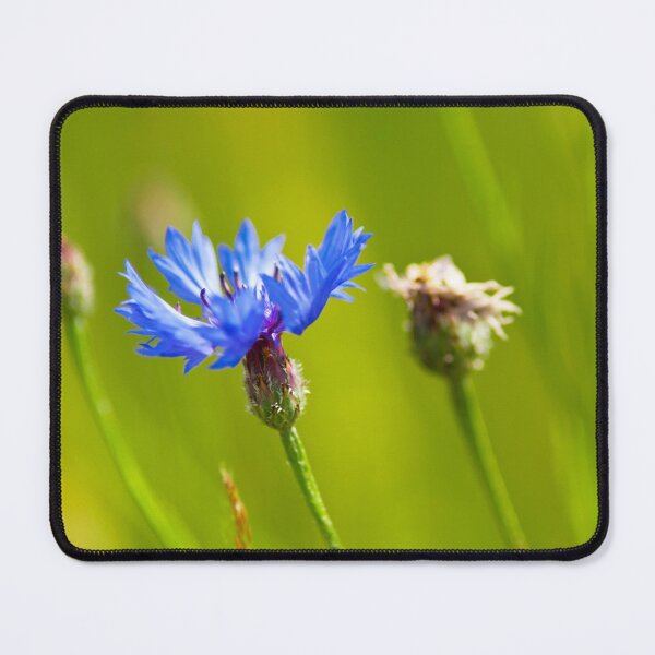 Item preview, Feeling blue designed and sold by Dominika Aniola.