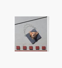 C1. Dog Abstract Art. Art Board