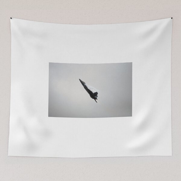 Item preview, USAF F-22 RAPTOR designed and sold by santoshputhran.