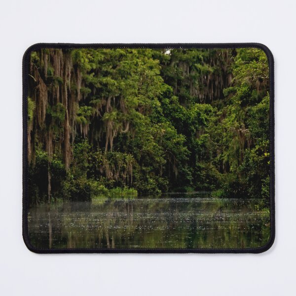Item preview, Okefenokee Stillness of the Swamp designed and sold by KbytesOfJax Outdoor and Nature.