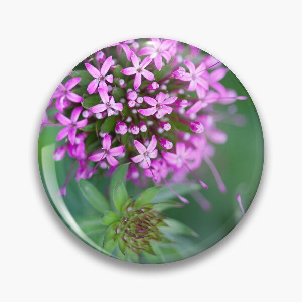 Item preview, Pretty little pink flowers designed and sold by CyaniRose.