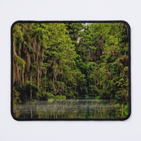 Item preview, Okefenokee Mossy Tree View designed and sold by KbytesOfJax Outdoor and Nature.