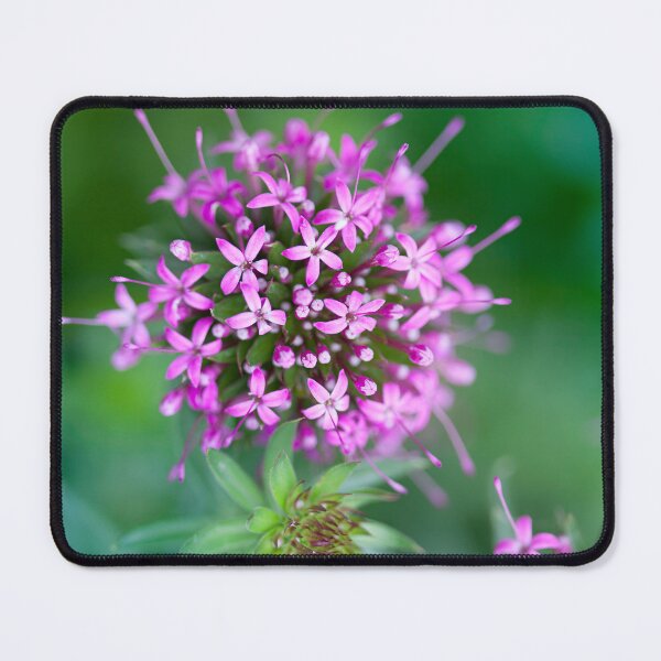 Item preview, Pretty little pink flowers designed and sold by CyaniRose.