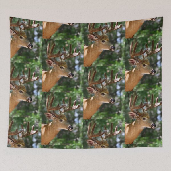 Item preview, As smooth as velvet - White-tailed Deer designed and sold by James Cumming.