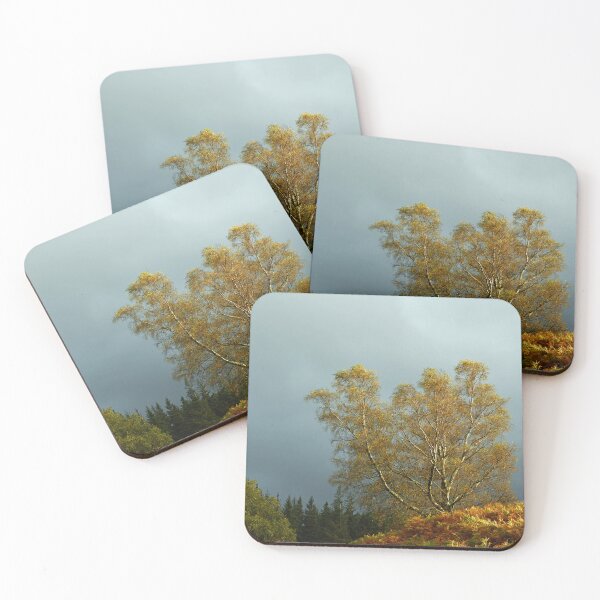 Item preview, Sunlit Silver Birch Tarn Hows Lakeland designed and sold by Cameranick.