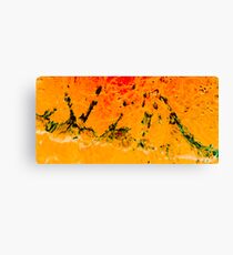 paleoart history Canvas Print