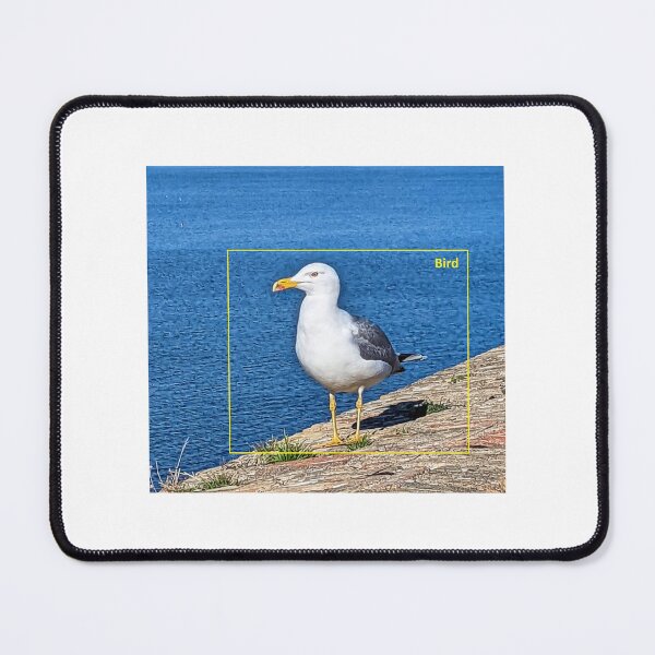 Aperçu de l'œuvre Classification des oiseaux mouette créée et vendue par anaderol.