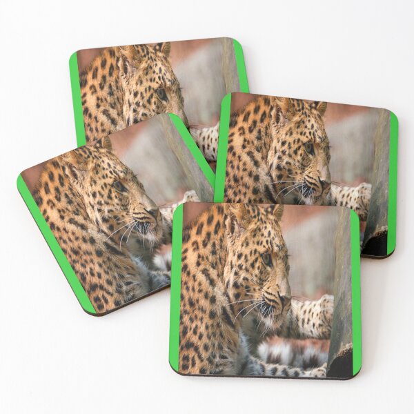 Item preview, ANIMAL SALVAJE TIGRESA designed and sold by solgel47.