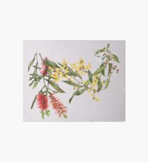 Australian Flowers Art Board