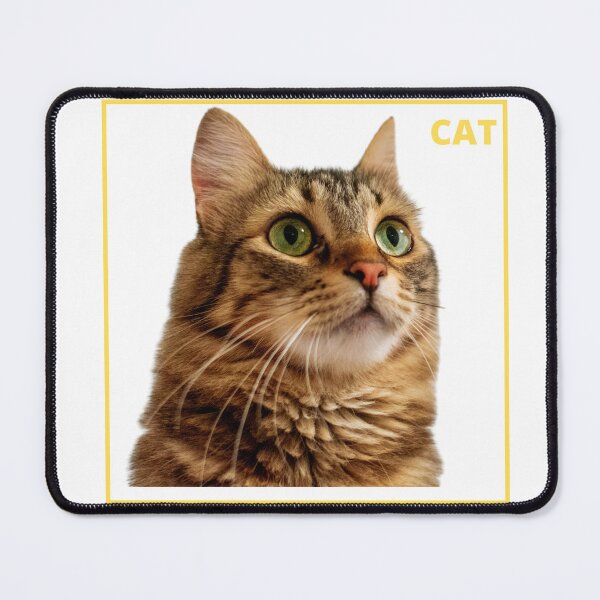 Item preview, Cat recognized by ML model designed and sold by anaderol.
