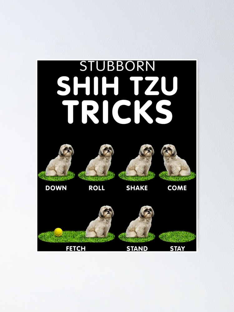 Funny Shih Tzu Trick Tshirt For Men, Women & Kids Dog Lover