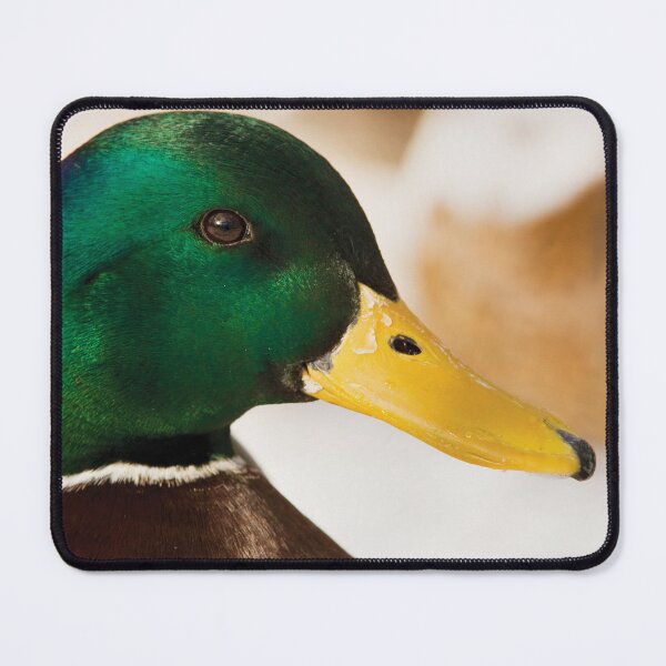Item preview, Mr Duck designed and sold by Dominika Aniola.