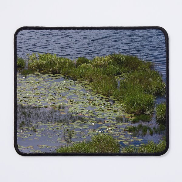 Item preview, Lilly Pads at the River designed and sold by KbytesOfJax Outdoor and Nature.
