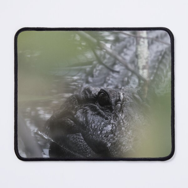 Item preview, Ghostly Gator designed and sold by KbytesOfJax Outdoor and Nature.