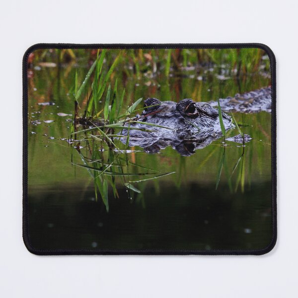 Item preview, Alligator floating in Grass designed and sold by KbytesOfJax Outdoor and Nature.