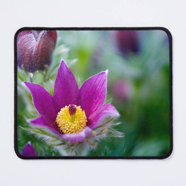 Item preview, Pretty Pink and Yellow Flower designed and sold by CyaniRose.