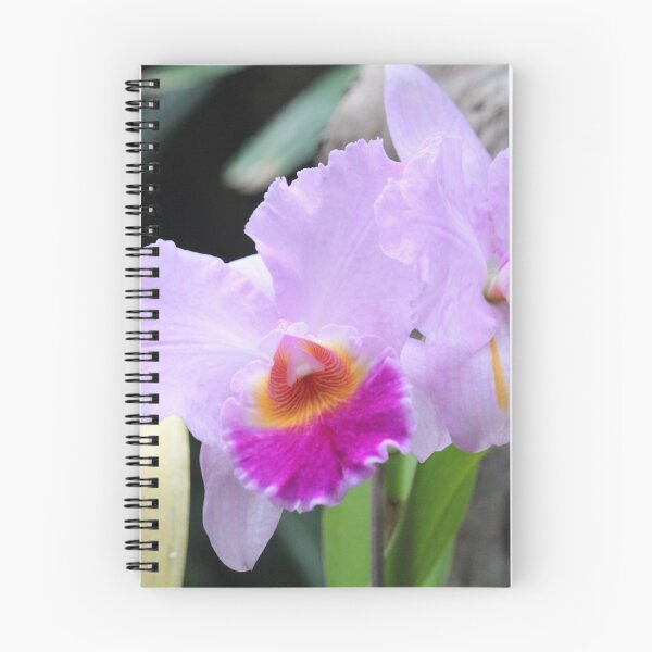 Item preview, Pink Orchids designed and sold by Jack Hartley.