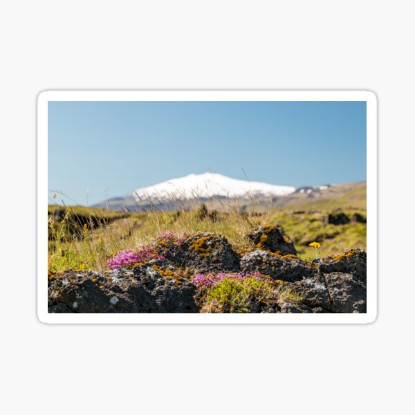 Icelandic Nature Sticker
