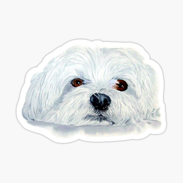 Bogart the Maltese Sticker