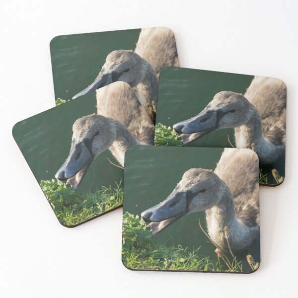 Item preview, Cygnet Eating designed and sold by Nicole Gath.