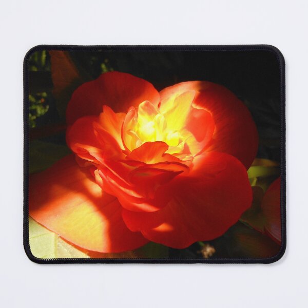 Item preview, Yellow Macro Beauty designed and sold by Kashmere1646.