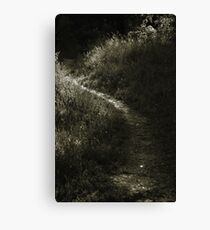 Secluded Canvas Print