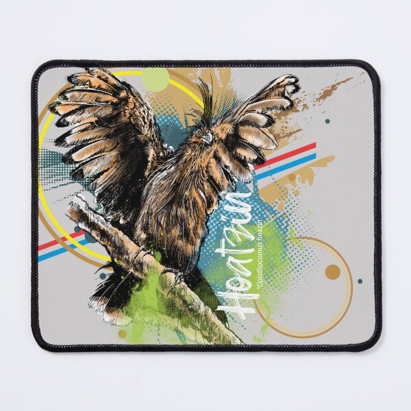 Item preview, The hoatzin a unique bird in the world and present in Colombia designed and sold by plumasycantos.