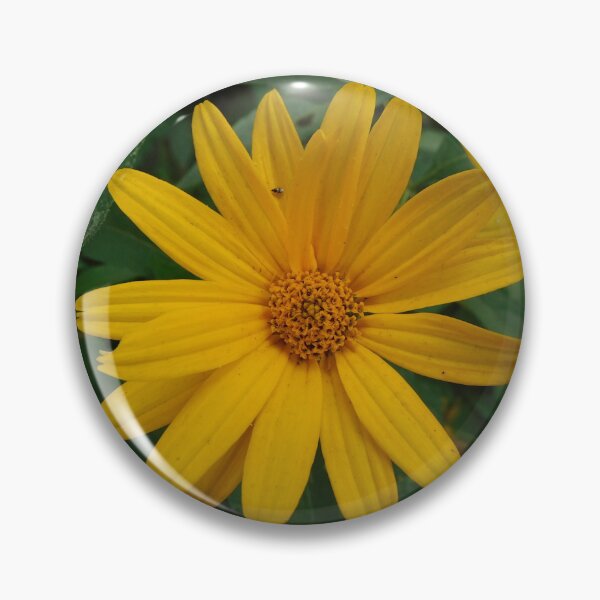 Item preview, I am a sunflower too designed and sold by Zarabeaver.