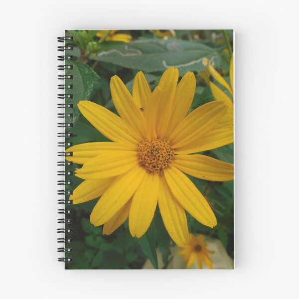 Item preview, I am a sunflower too designed and sold by Zarabeaver.