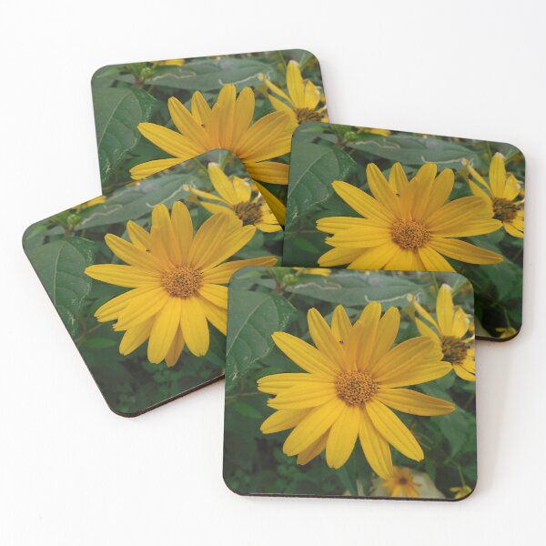 Item preview, I am a sunflower too designed and sold by Zarabeaver.