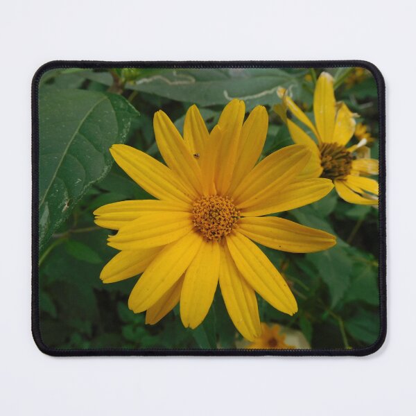 Item preview, I am a sunflower too designed and sold by Zarabeaver.