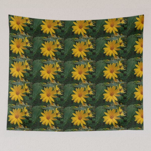 Item preview, I am a sunflower too designed and sold by Zarabeaver.