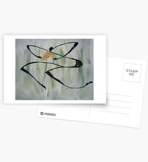 Jungle Musician Postcards