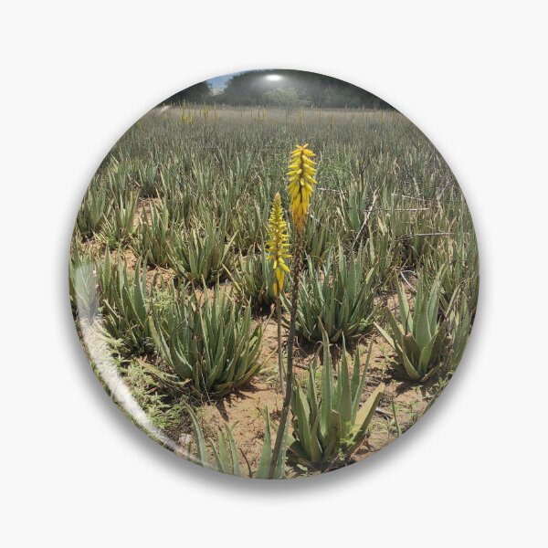 Item preview, Aloe Vera Flower designed and sold by RDLT.
