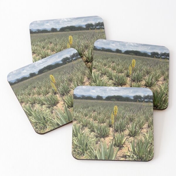 Item preview, Aloe Vera Flower designed and sold by RDLT.