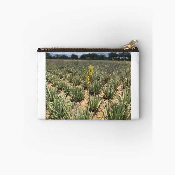 Aperçu de l'œuvre Fleur d'Aloe Vera créée et vendue par RDLT.