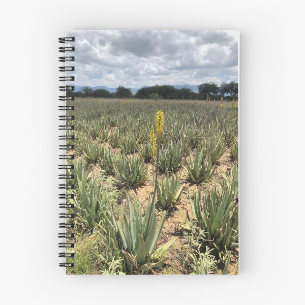 Item preview, Aloe Vera Flower designed and sold by RDLT.