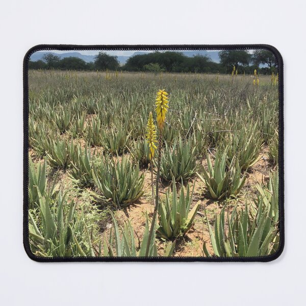 Item preview, Aloe Vera Flower designed and sold by RDLT.