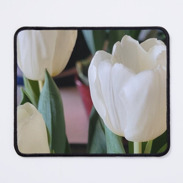 Aperçu de l'œuvre Tulipes blanches créée et vendue par Sihamedtaha.