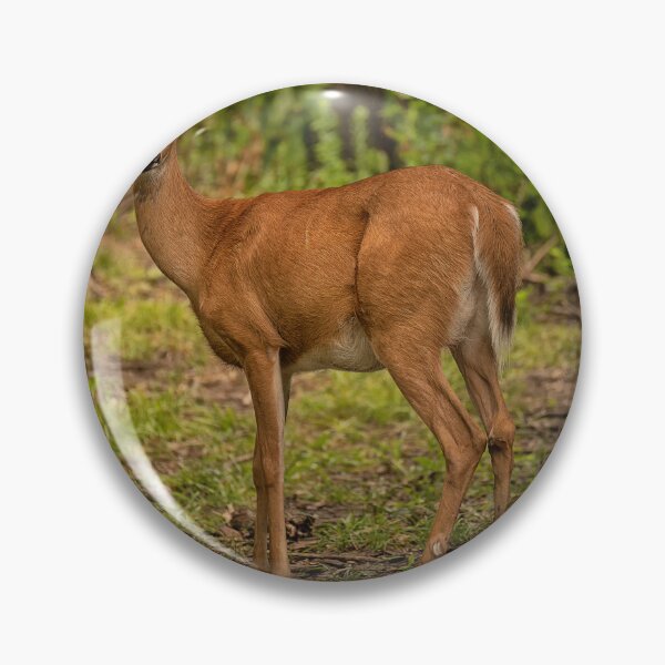 Item preview, Square deer designed and sold by Joel Bader.
