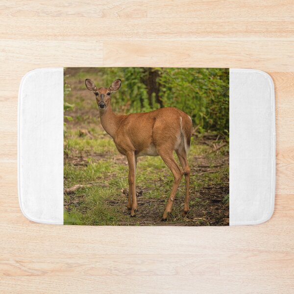 Item preview, Square deer designed and sold by Joel Bader.