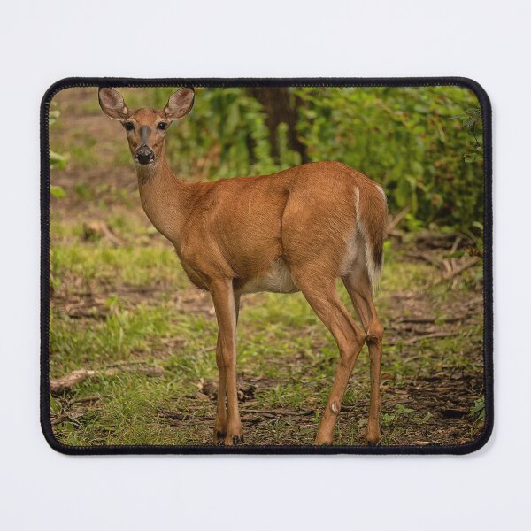 Item preview, Square deer designed and sold by Joel Bader.