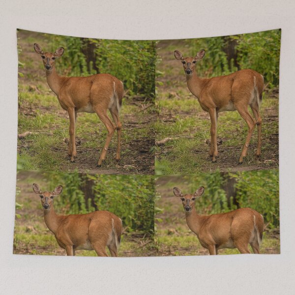 Item preview, Square deer designed and sold by Joel Bader.