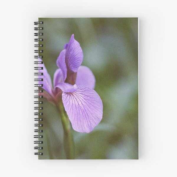 Item preview, Siberia Iris designed and sold by ztrnorge.