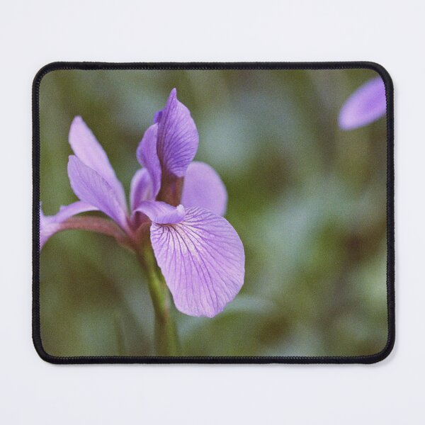 Item preview, Siberia Iris designed and sold by ztrnorge.